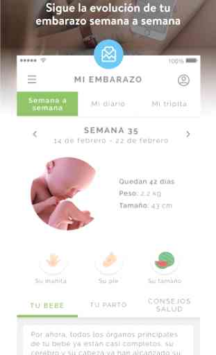 Mi embarazo al día: Seguimiento y control 1