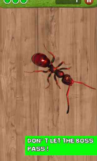 Ant Smasher by Best Cool & Fun Games 3
