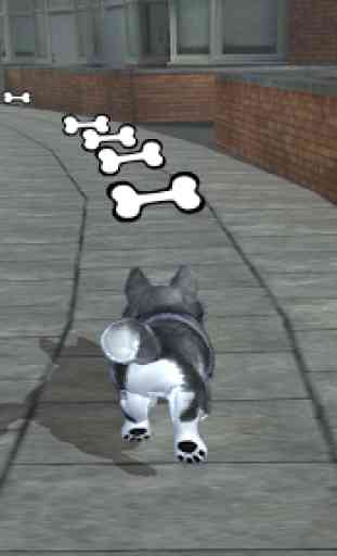 PS Vita Pets sala de cachorros 1