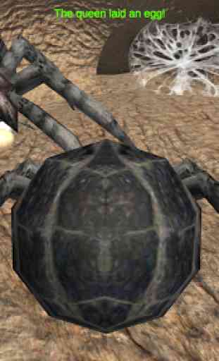 Spider Nest Simulator - insect and 3d animal game 2