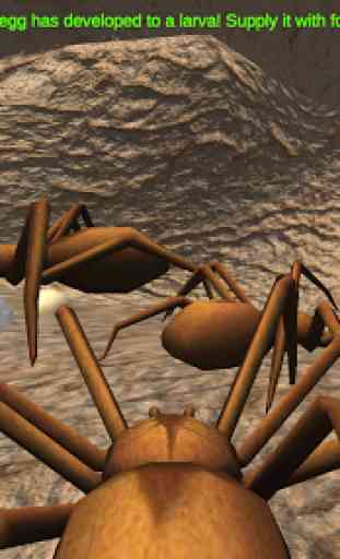 Spider Nest Simulator - insect and 3d animal game 3