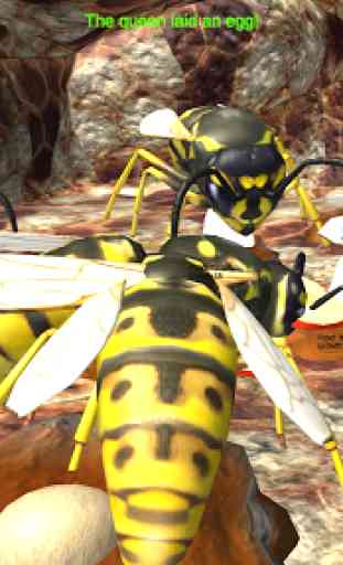 Wasp Nest Simulator - Insect and 3d animal game 1