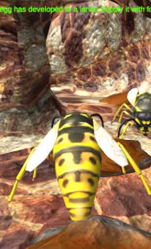Wasp Nest Simulator - Insect and 3d animal game 4