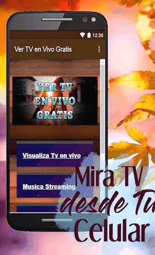 Ver Tv En Vivo Gratis Español Todos Canales Guia 1
