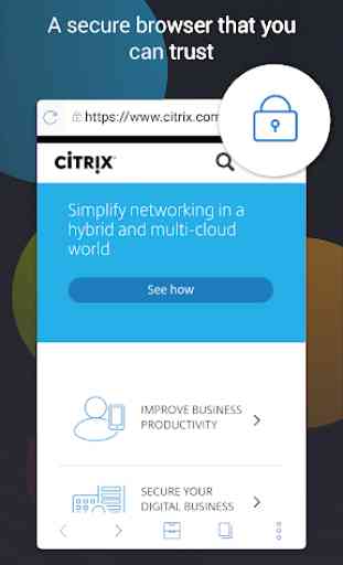 Citrix Secure Web 1