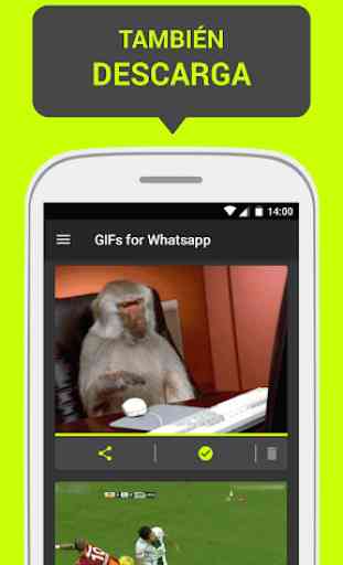 GIFs para Whatsapp 3
