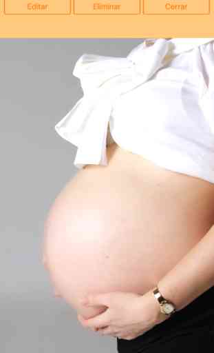 WomanLog Pregnancy Pro 3