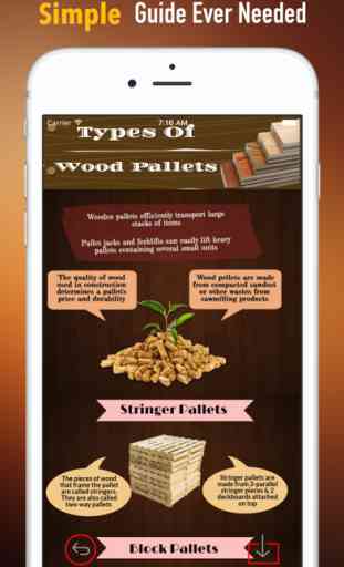 Paletas de madera: Proyectos de Creación de Guía y 2