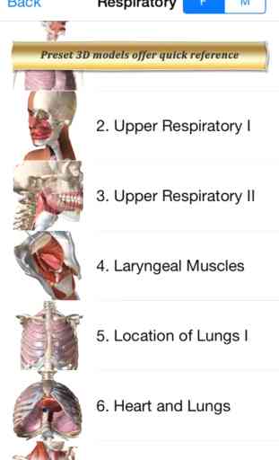 Respiratory Anatomy Atlas: Essential Reference for Students and Healthcare Professionals 2