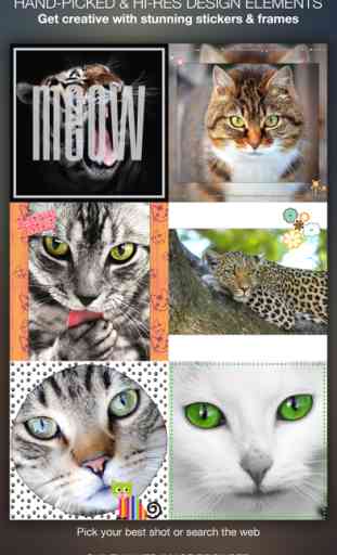 Meow Pics – Etiquetas y marcos de fotos para gatos 1