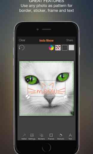 Meow Pics – Etiquetas y marcos de fotos para gatos 3