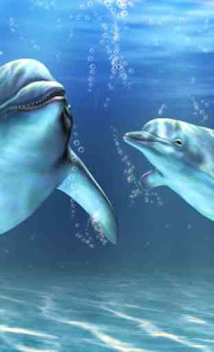 Delfines Live Wallpaper 1