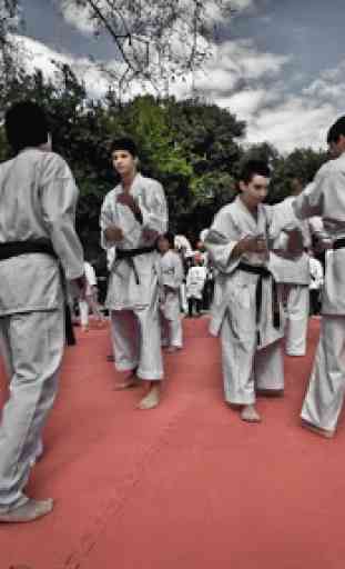 Entrenamiento de Karate 4
