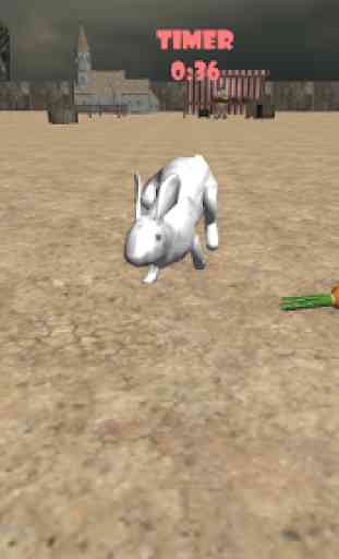 Simulador real Conejo 1