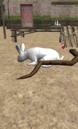 Simulador real Conejo 2