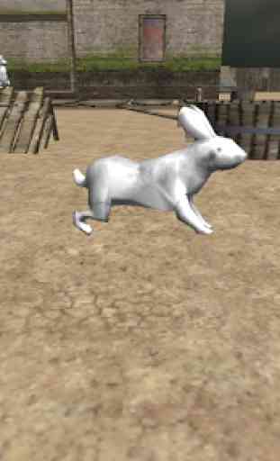 Simulador real Conejo 4