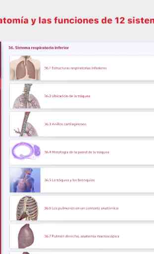 Anatomía & Fisiología 1