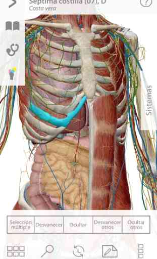 Atlas de anatomía humana 1