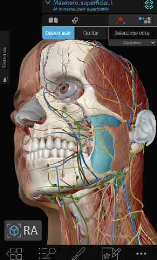Atlas de anatomía humana 2020: el cuerpo en 3D  1