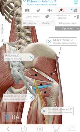 Atlas de anatomía humana 2020: el cuerpo en 3D  2