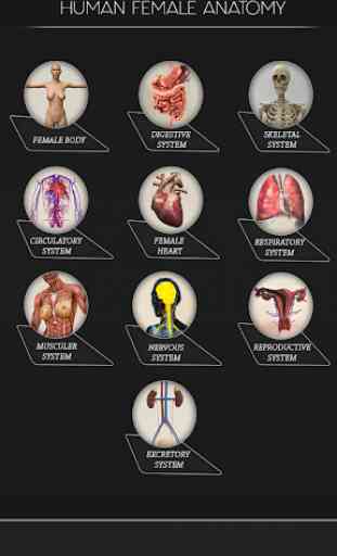Human anatomy 3D: Bones & Female Organs  Offline 1