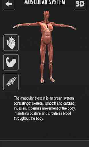 Human anatomy 3D: Bones & Female Organs  Offline 2