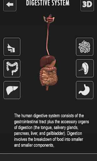 Human anatomy 3D: Bones & Female Organs  Offline 4