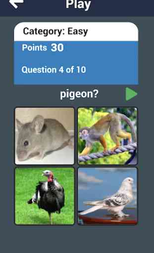 Learn Animals Names in English Pictures Words Quiz 2
