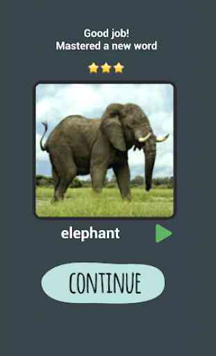 Learn Animals Names in English Pictures Words Quiz 4