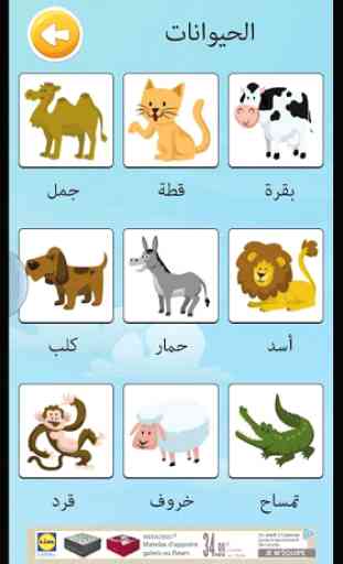 Learn arabic vocabulary game 4