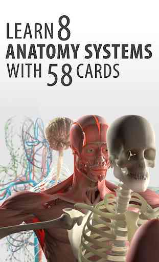 Tarjetas de Anatomía 1