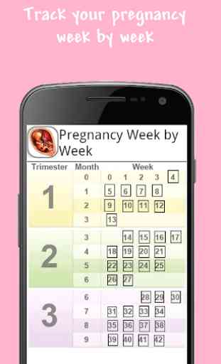 Embarazo Semana a Semana 1