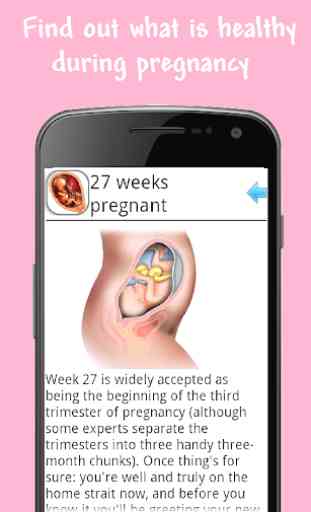 Embarazo Semana a Semana 4