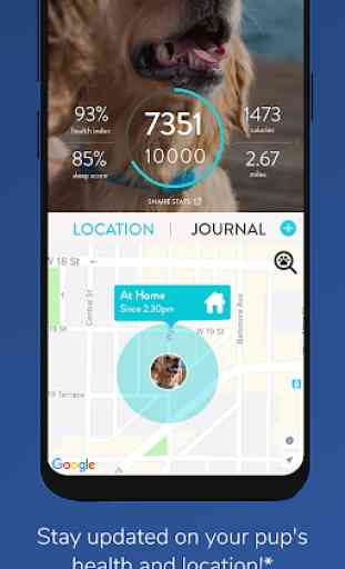 FitBark Dog GPS & Health 1