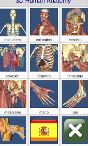 3D Anatomy 1