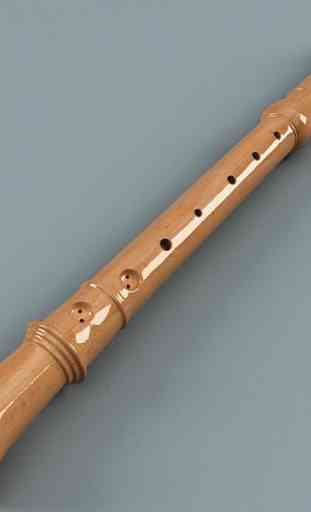 Flauta. 2