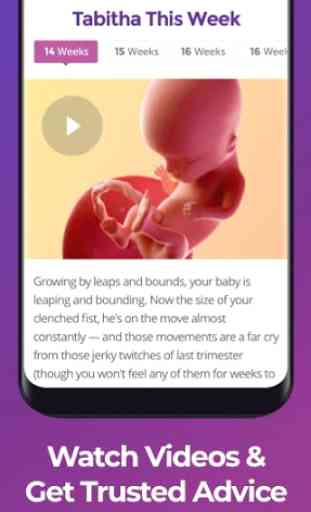 Pregnancy Tracker 2