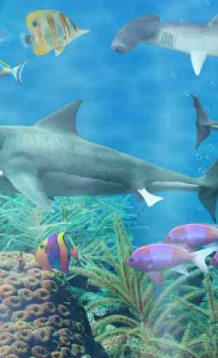 Acuario Shark live wallpaper 1