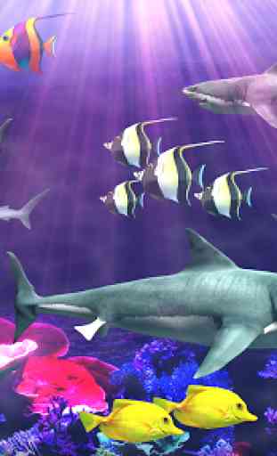 Acuario Shark live wallpaper 2