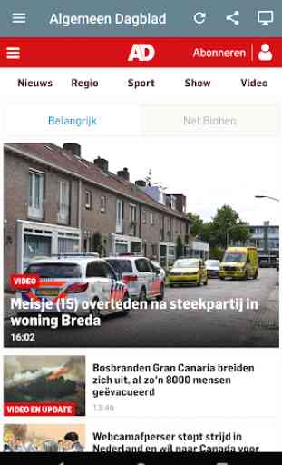 Nederland Kranten 3