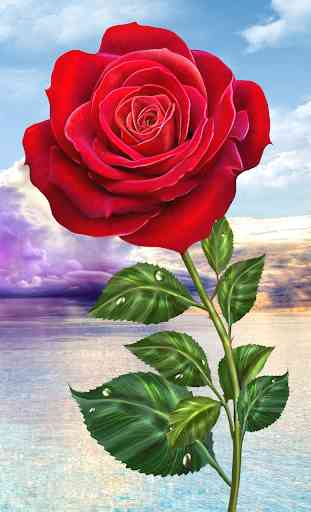 Rosa, toque mágico flores 1