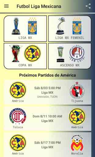 Futbol Liga Mexicana 3