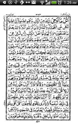 16 Line Hafizi Quran 3