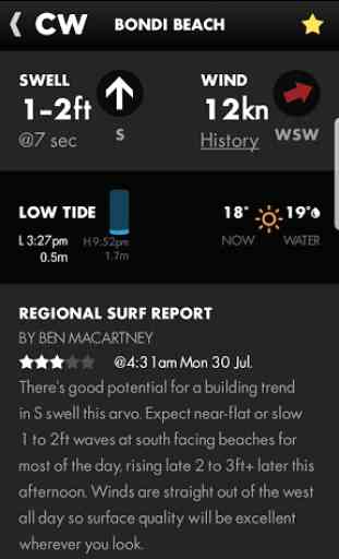 Coastalwatch Surf Check 2