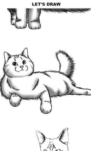 How to Draw Cats 1