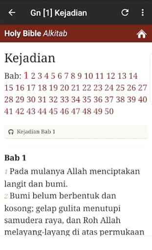 Alkitab Indonesia 4