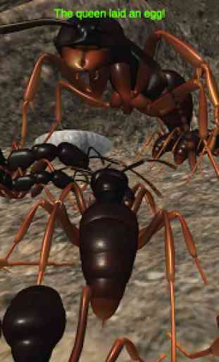 Ant Simulation 3D - Insect Survival Game 1