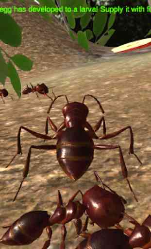 Ant Simulation 3D - Insect Survival Game 2