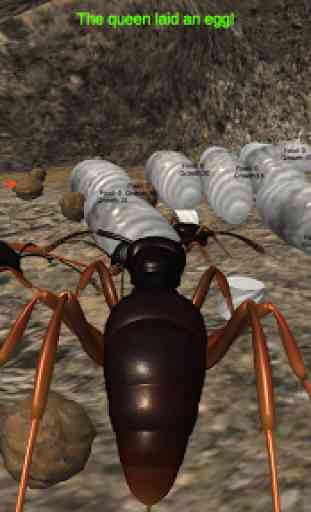 Ant Simulation 3D - Insect Survival Game 3