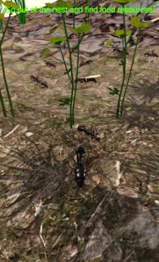Ant Simulation 3D - Insect Survival Game 4